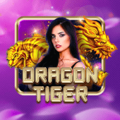 Dragon Tiger nustar app